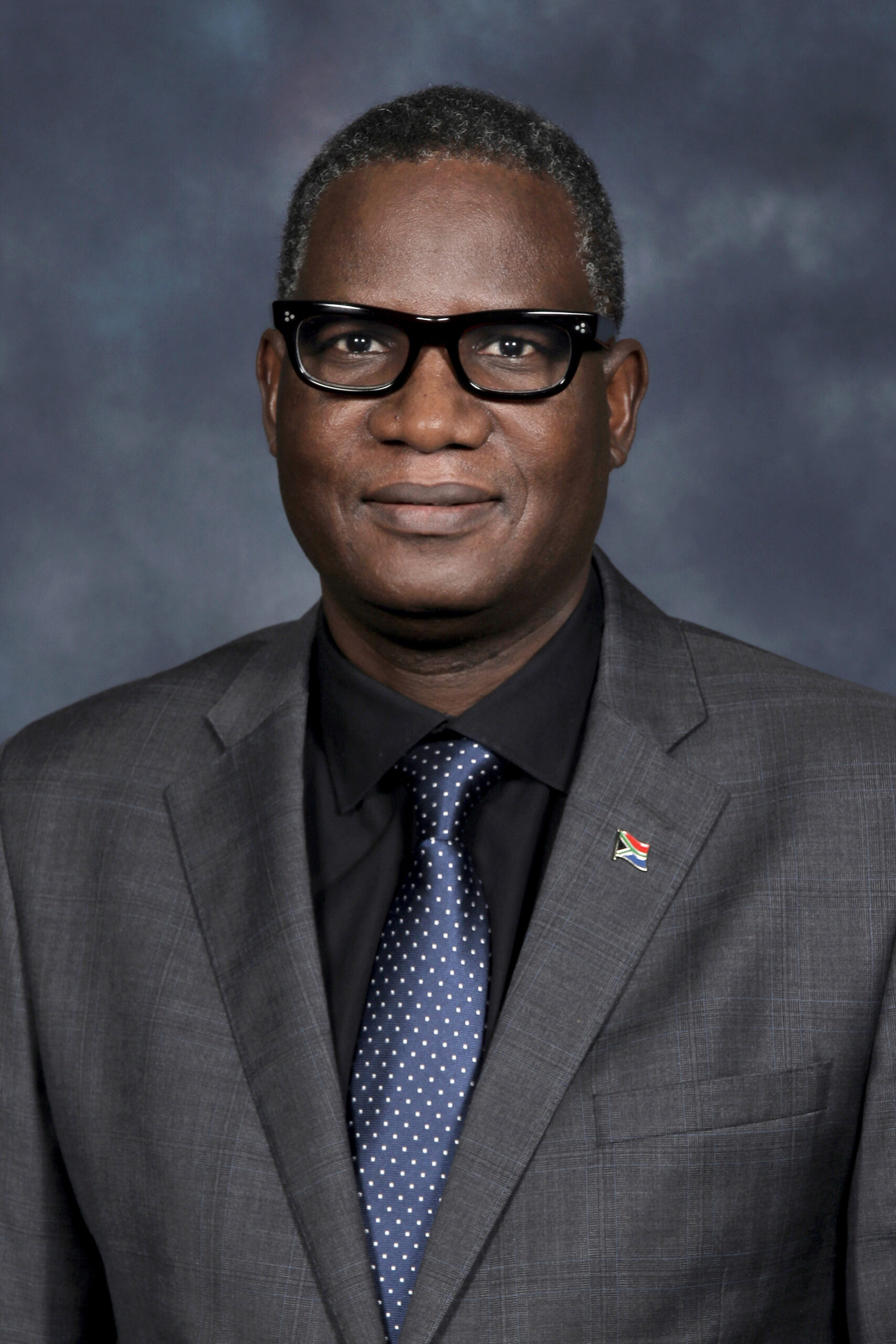 Prof  Bernard Nthambeleni